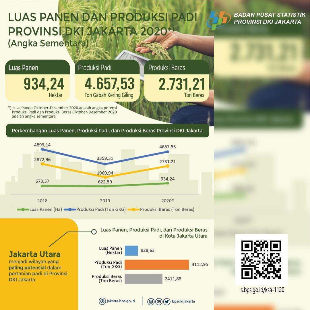 Rilis Angka Luas Panen dan Produksi Padi 2020