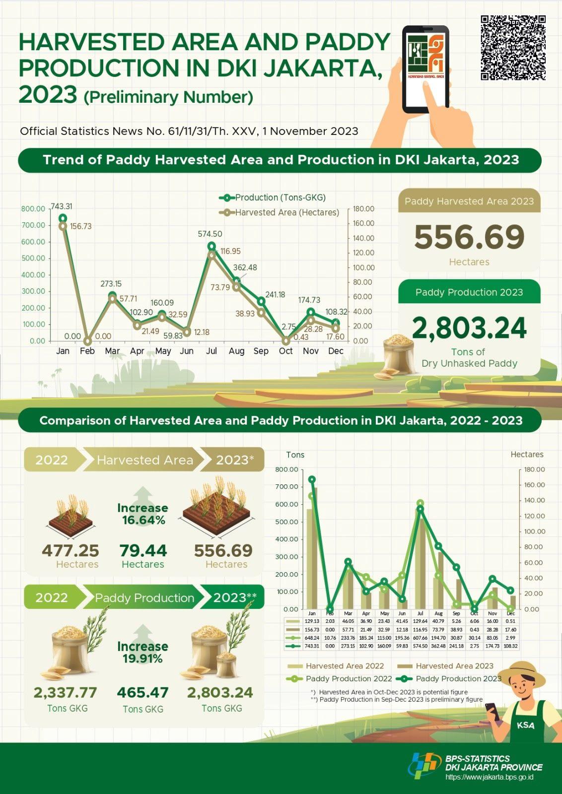 In 2023, the paddy harvested area is approximately 556.69 hectares, with 2,803.24 tons of dry unhusked paddy (GKG) production. If converted into rice, the production in 2023 is approximately 1,652.40 tons