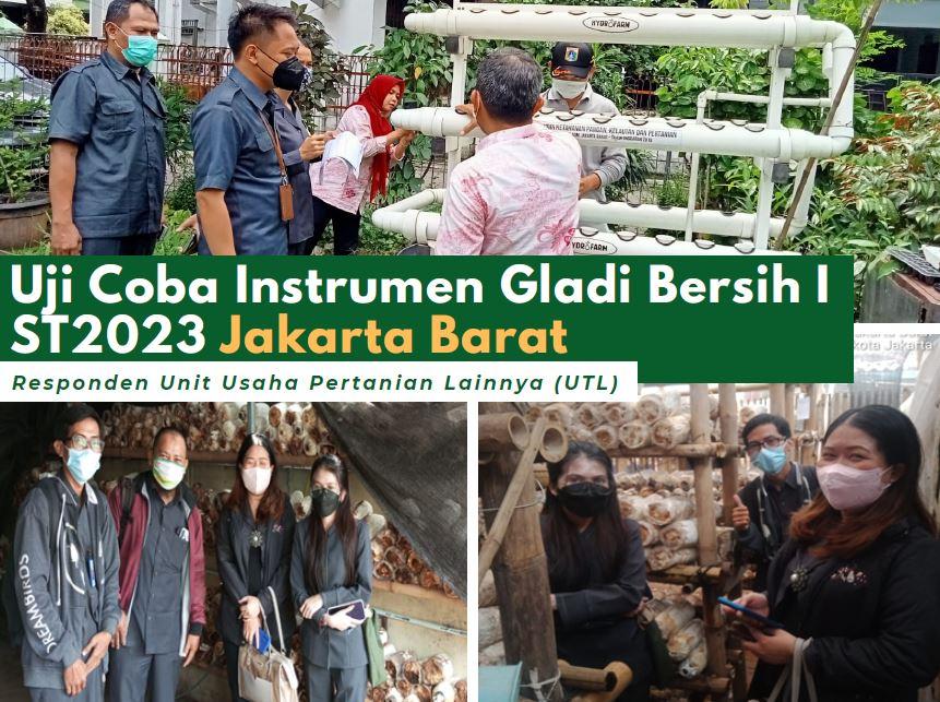 Test of Clean Rehearsal Instrument I ST2023 West Jakarta Respondents of Other Agricultural Business 