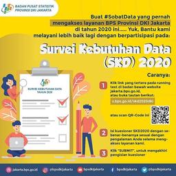 Data Needs Survey (SKD) 2020