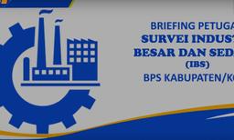 Briefing IBS BPS Kota Jakarta Timur 2021