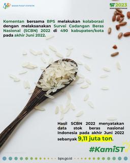 How is the Stock of Rice in Indonesia