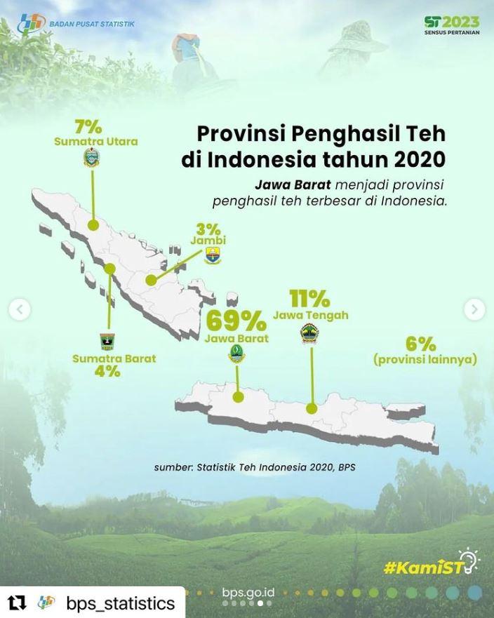 Indonesian Tea in Figures