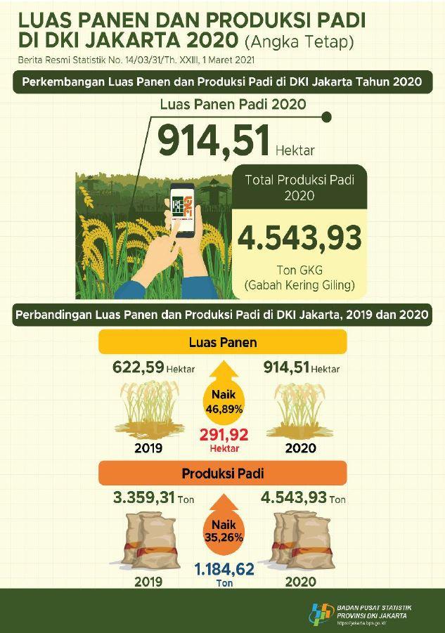 Tetap Produktif ! Produksi Padi Jakarta 2020 Tembus 4 Ribu Ton