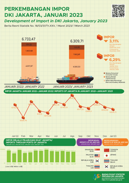 Amid The The Imports Decline, Imports Of Intermediate Goods Rise  At The Beginning Of 2023