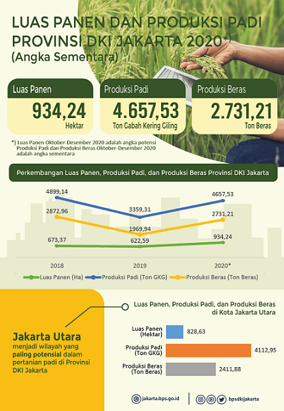 Padi Jakarta, Remain Productive Amid Limited Land