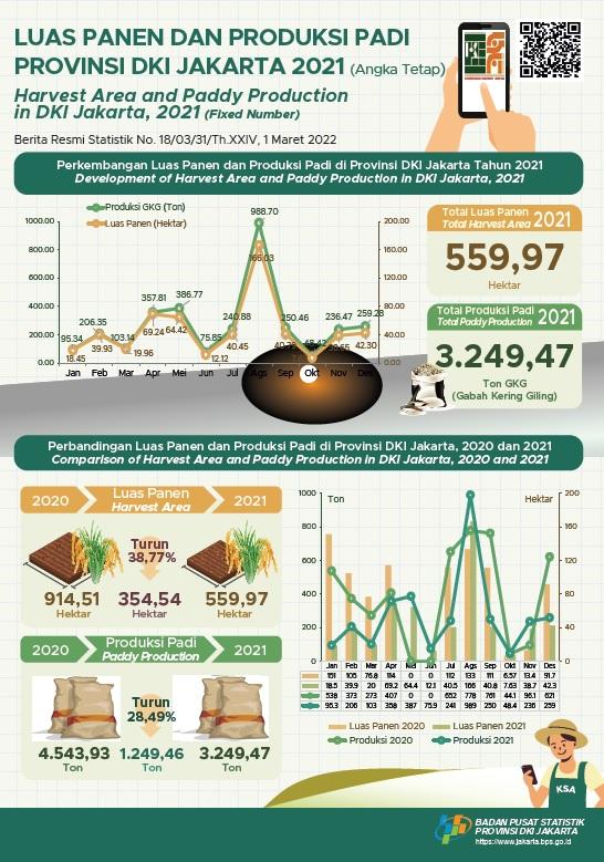 Padi Jakarta, Menjaga Produktivitas di Lahan Terbatas (Angka Tetap)