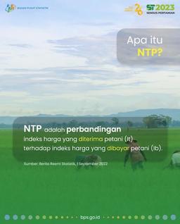 Nilai Tukar Petani di Indonesia